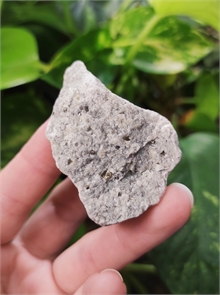 Пирит в березите 25345