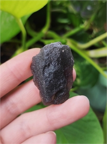 Псевдотектит 25262